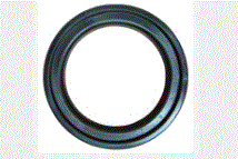 PLASTIC RING FOR MICRO FILTER (M60P)