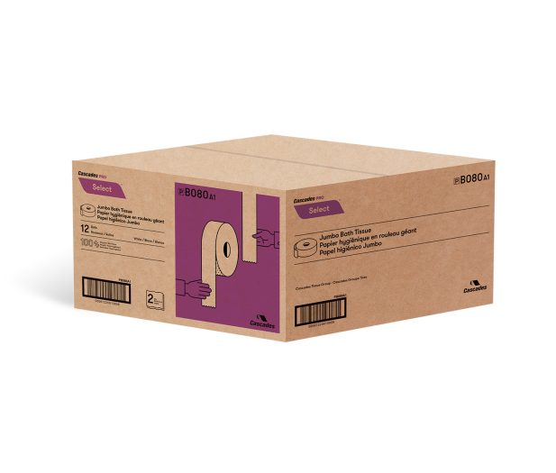 B080 PAPIER HYG GEANT 2 PLIS 3.3 CORE 500'  12RL/CS